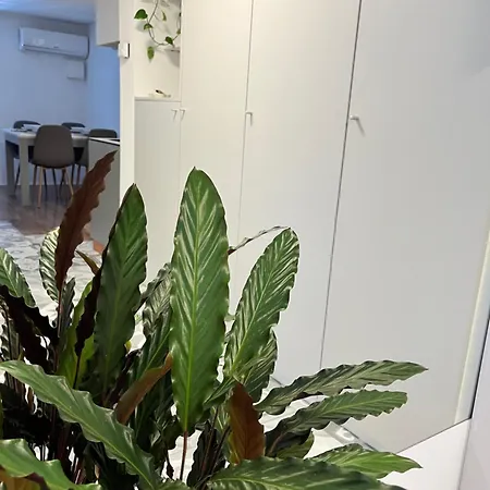 Cukr Apartment *