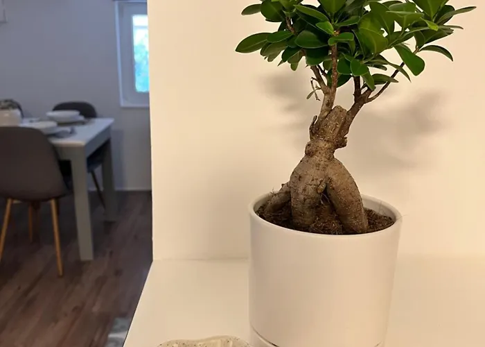 Apartman Cukr Ljubljana