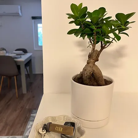 Apartma Cukr Ljubljana